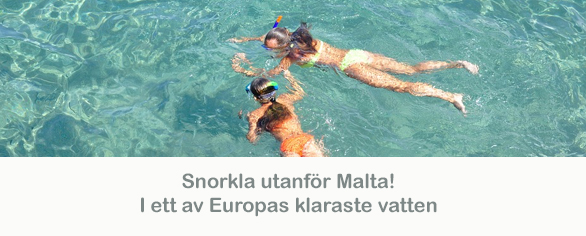 medelhavsmall_mellan_snorkla_malta